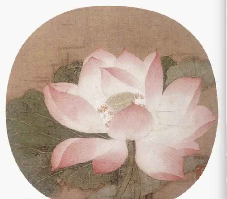 Why Is the Lotus Called the “Gentleman Flower” in Chinese Tradition?