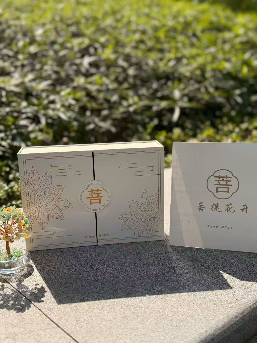 BodhiBloom Signature Pú Lián Zen Serenity Gift Set